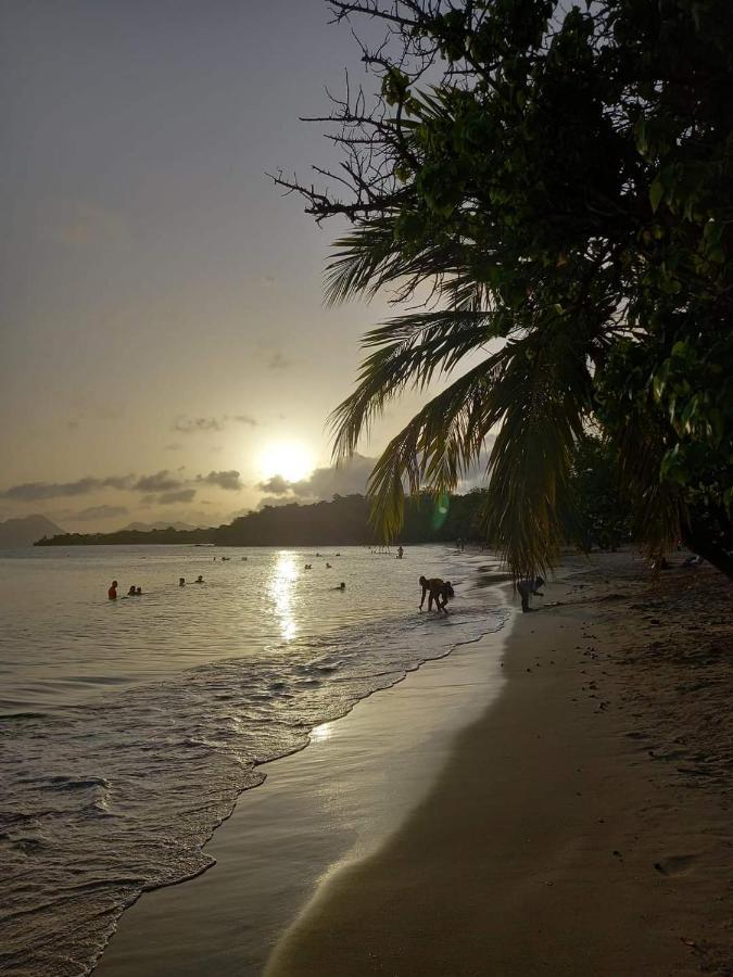 Studio Des Flots - Tartane Martinique 拉特里尼泰 外观 照片