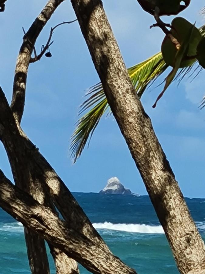 Studio Des Flots - Tartane Martinique 拉特里尼泰 外观 照片